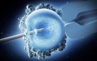 Exploring IVF: A Comprehensive Guide to In Vitro Fertilization